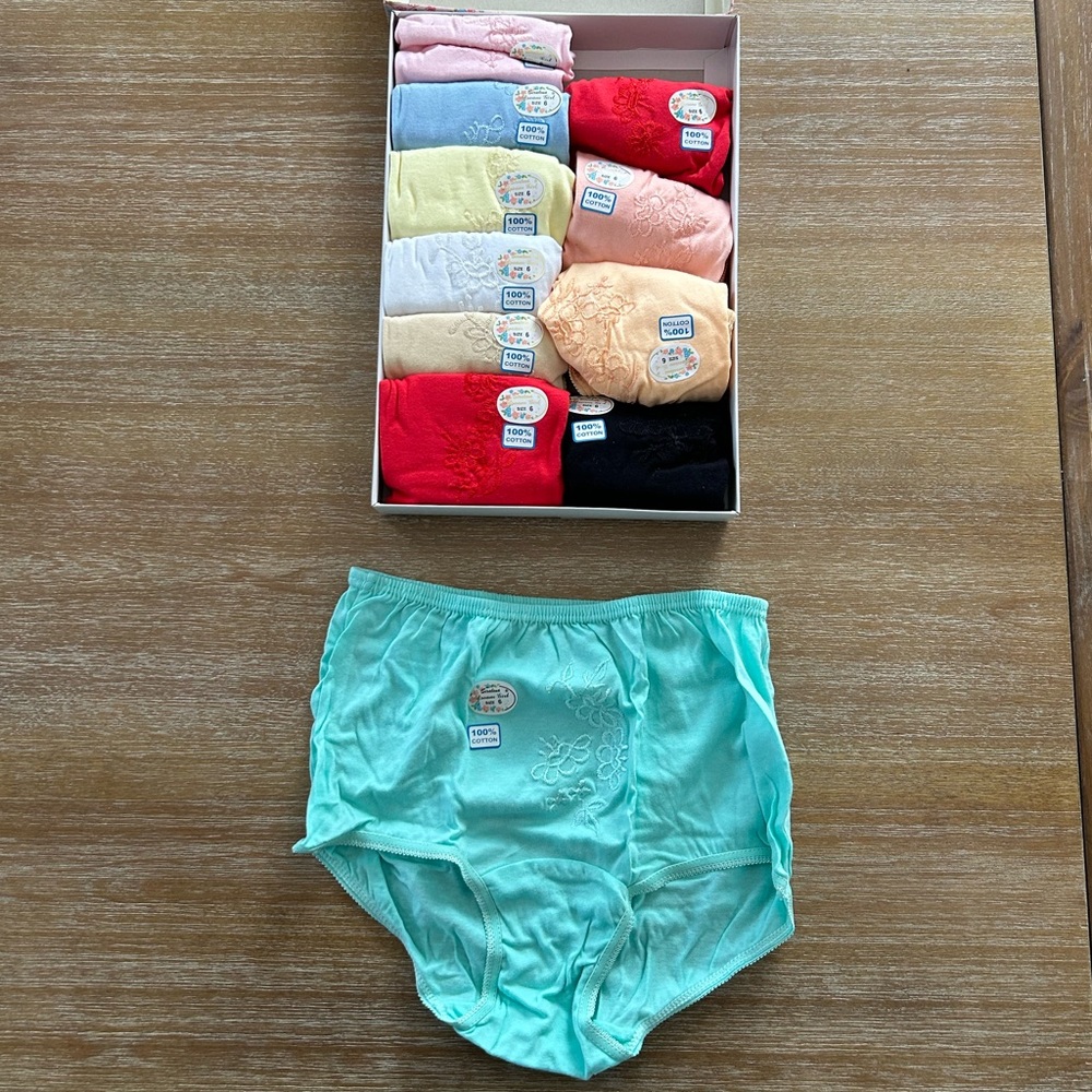 Ladies Panty Briefs - Size 6